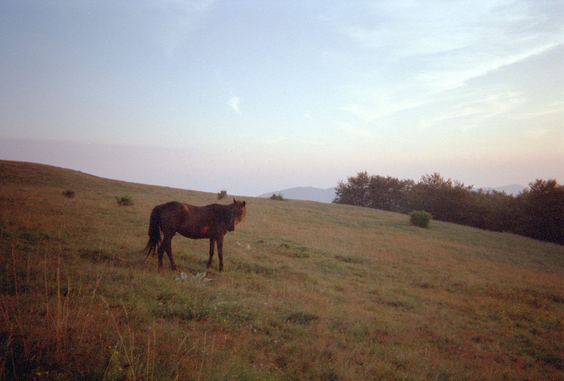 Murgash - Bulgaria