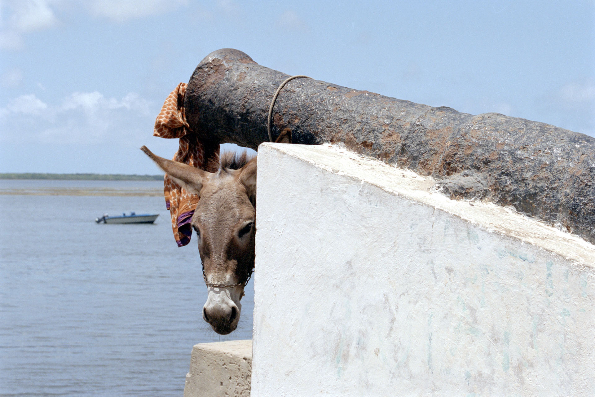 Lamu - Kenya