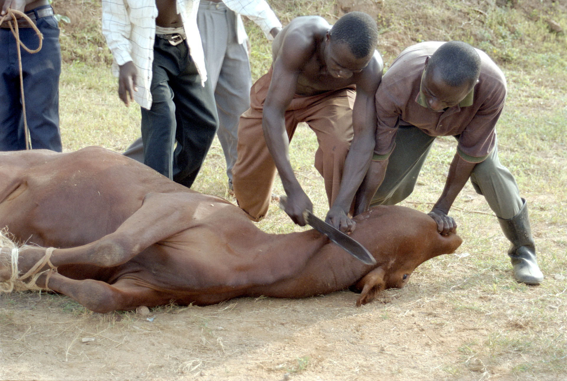 Buloba - Uganda