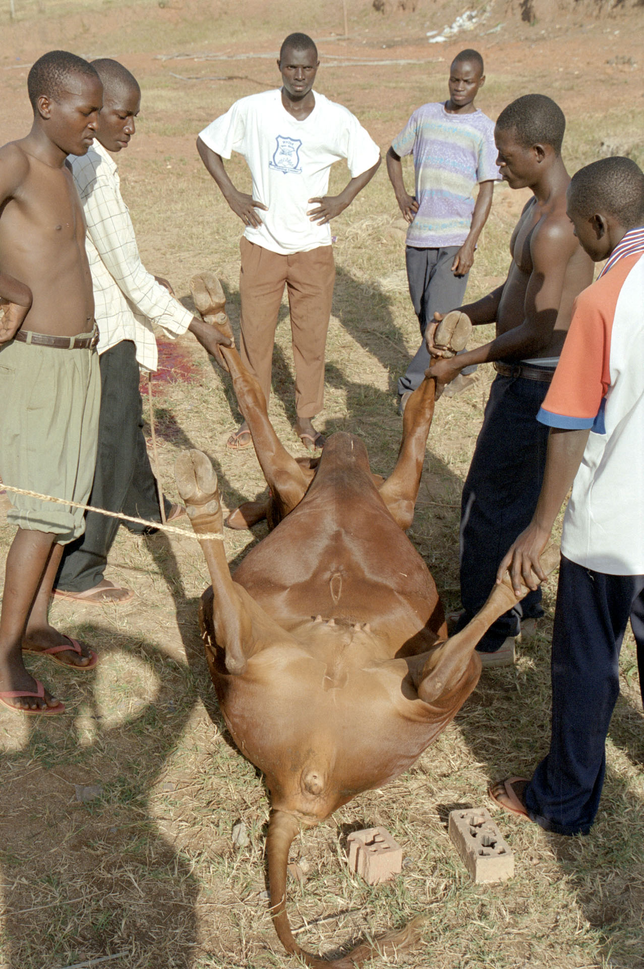 Buloba - Uganda