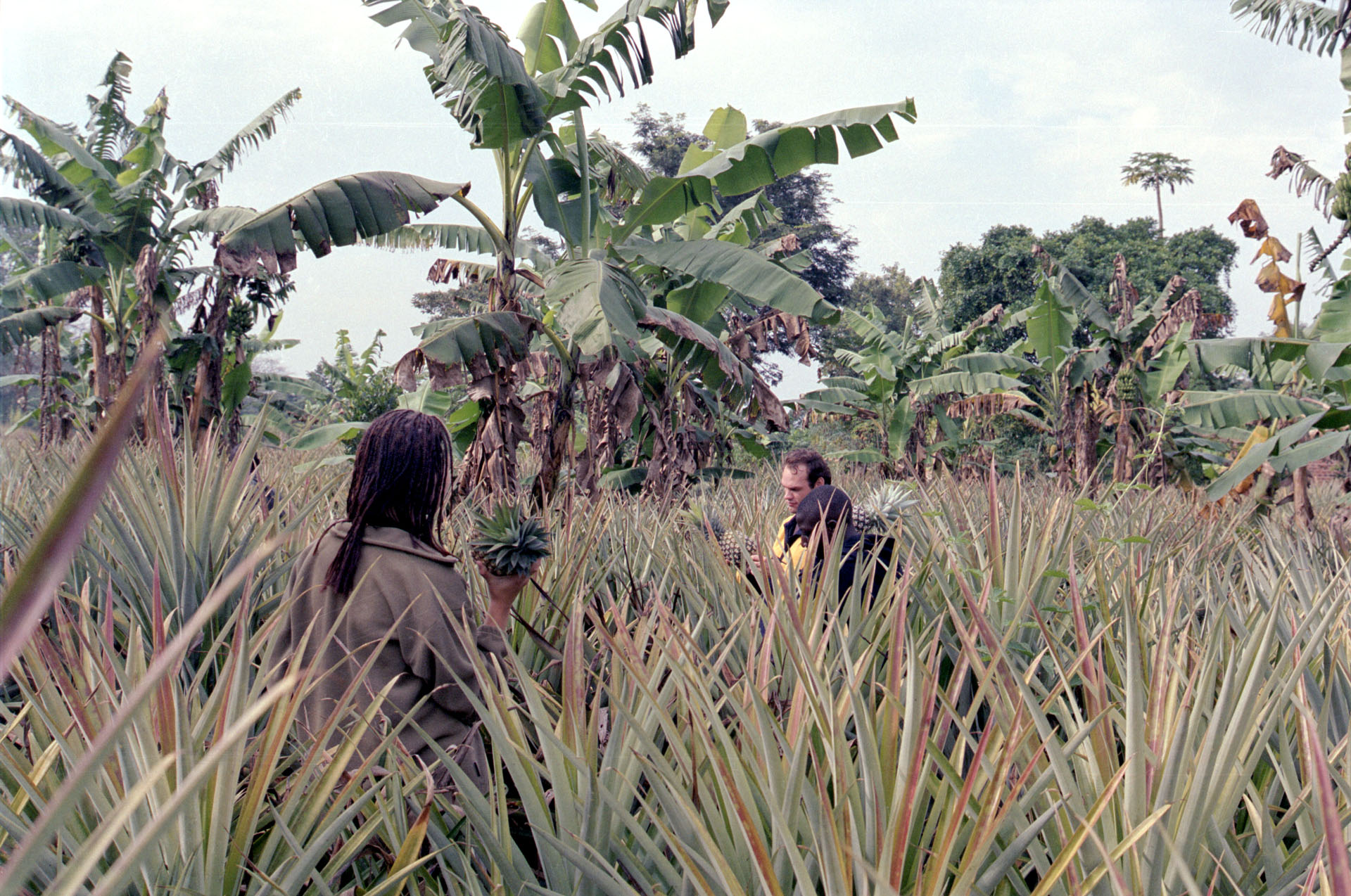 Kayunga - Uganda