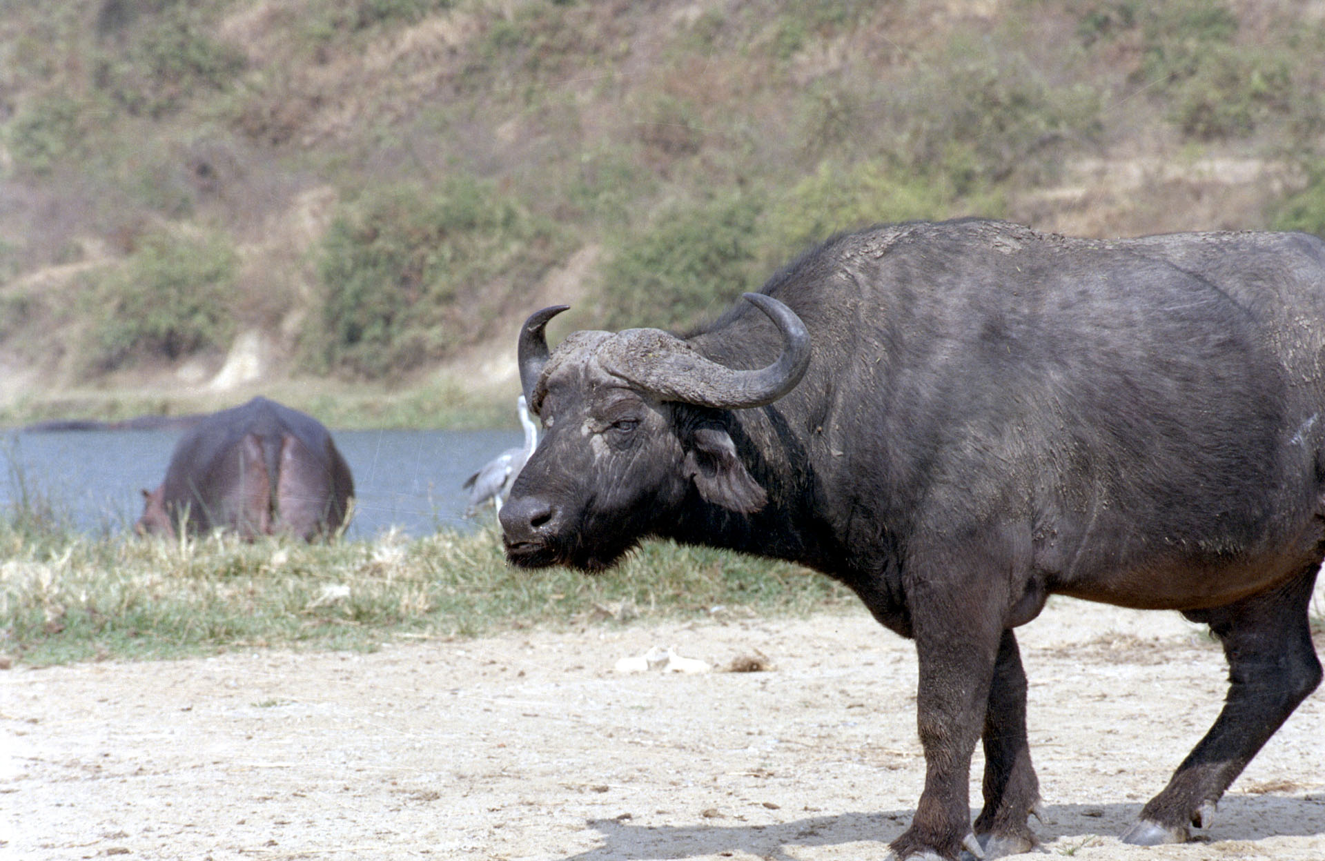 Queen Elizabeth National Park - Uganda