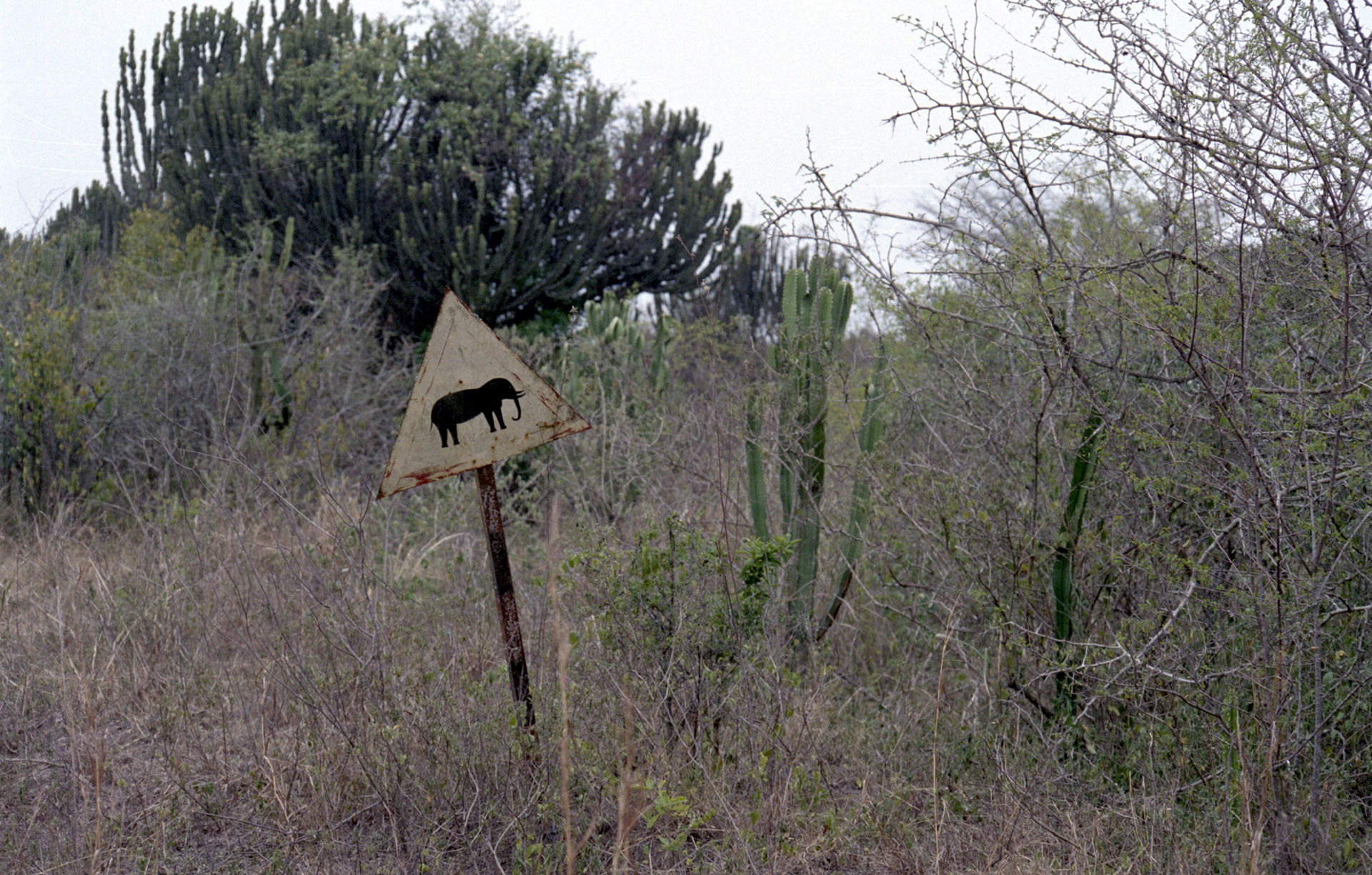 Queen Elizabeth National Park - Uganda