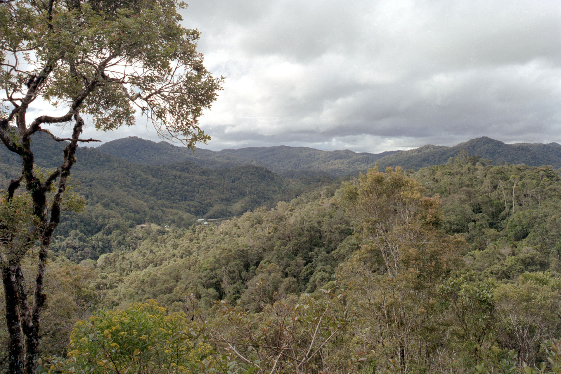 Parc National de Ranomafana - Madagascar