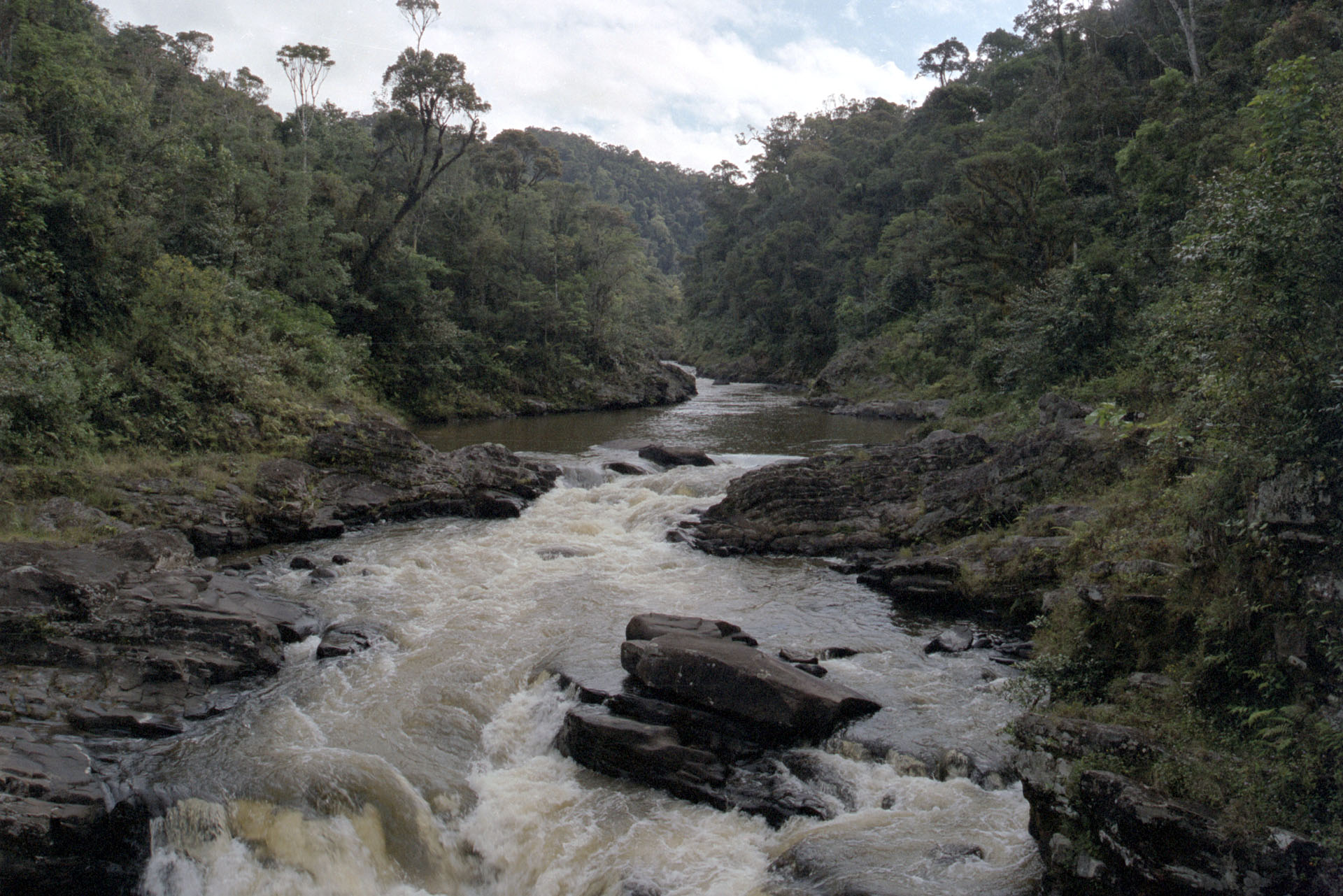 Parc National de Ranomafana - Madagascar