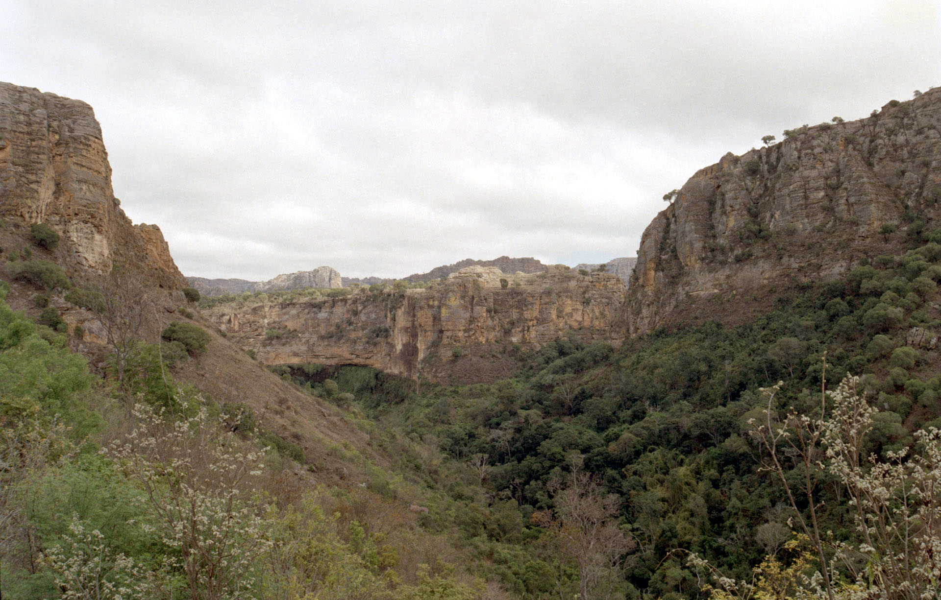 Parc National de l'Isalo - Madagascar