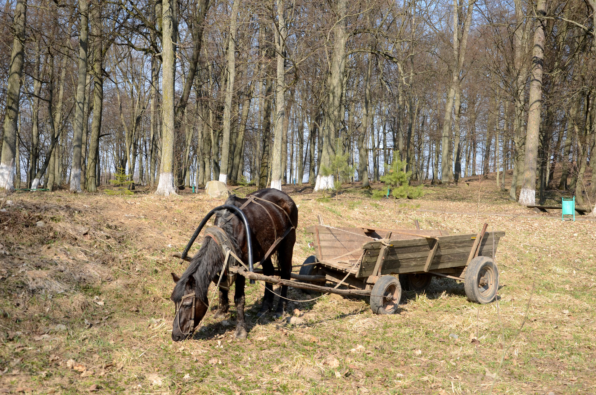 Volno - Belarus