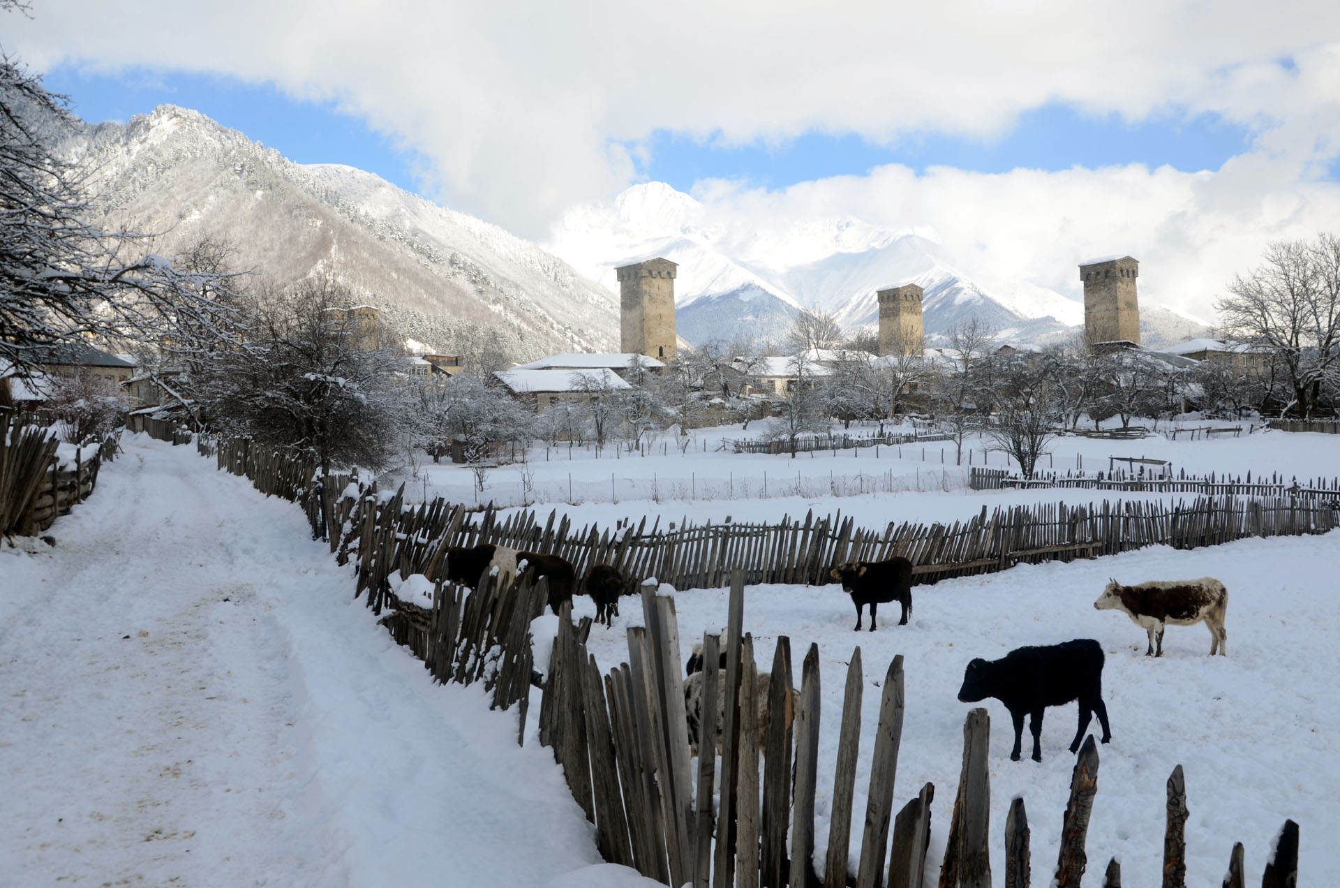 Lashtkhveri - Georgia