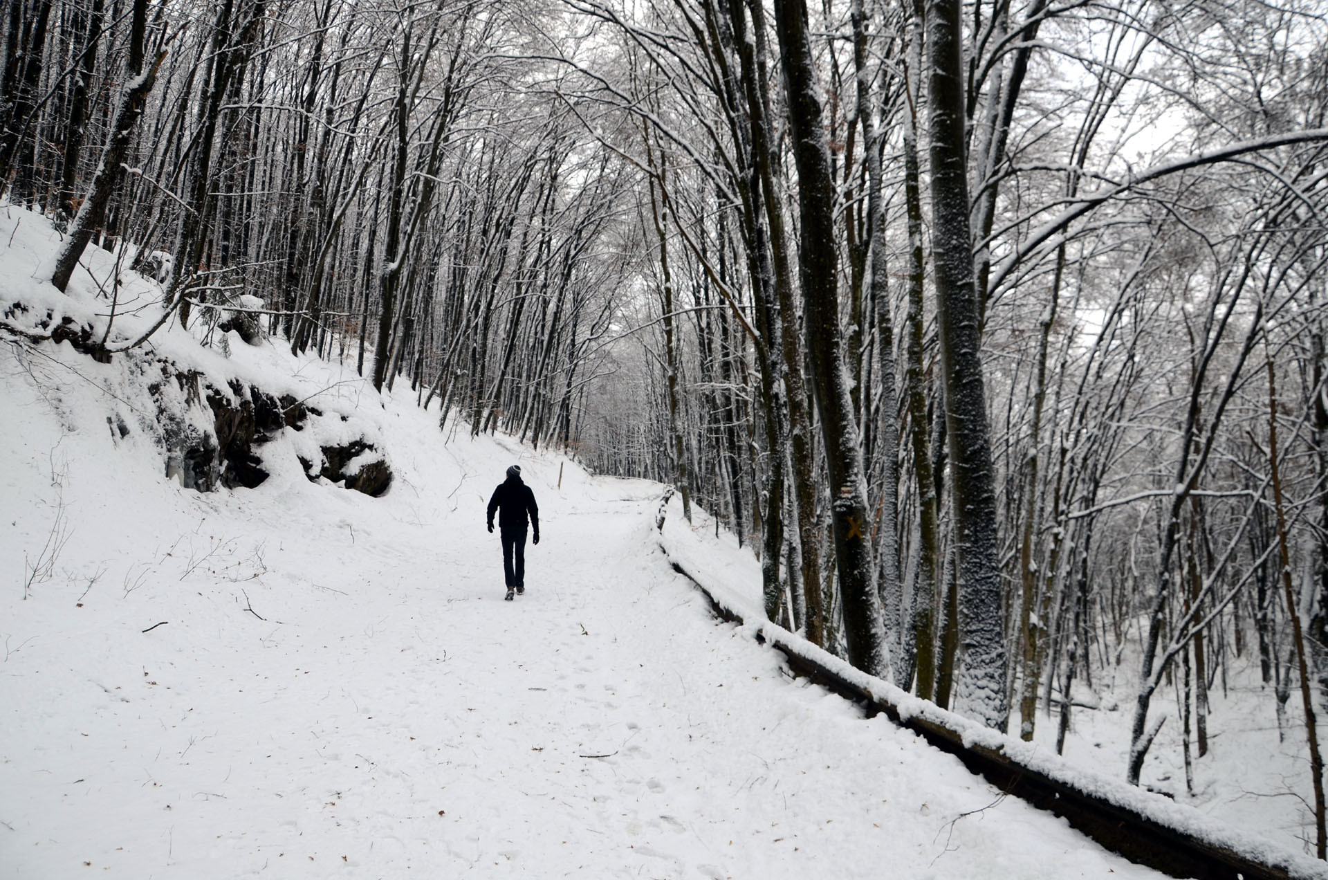 Nevytske - Ukraine