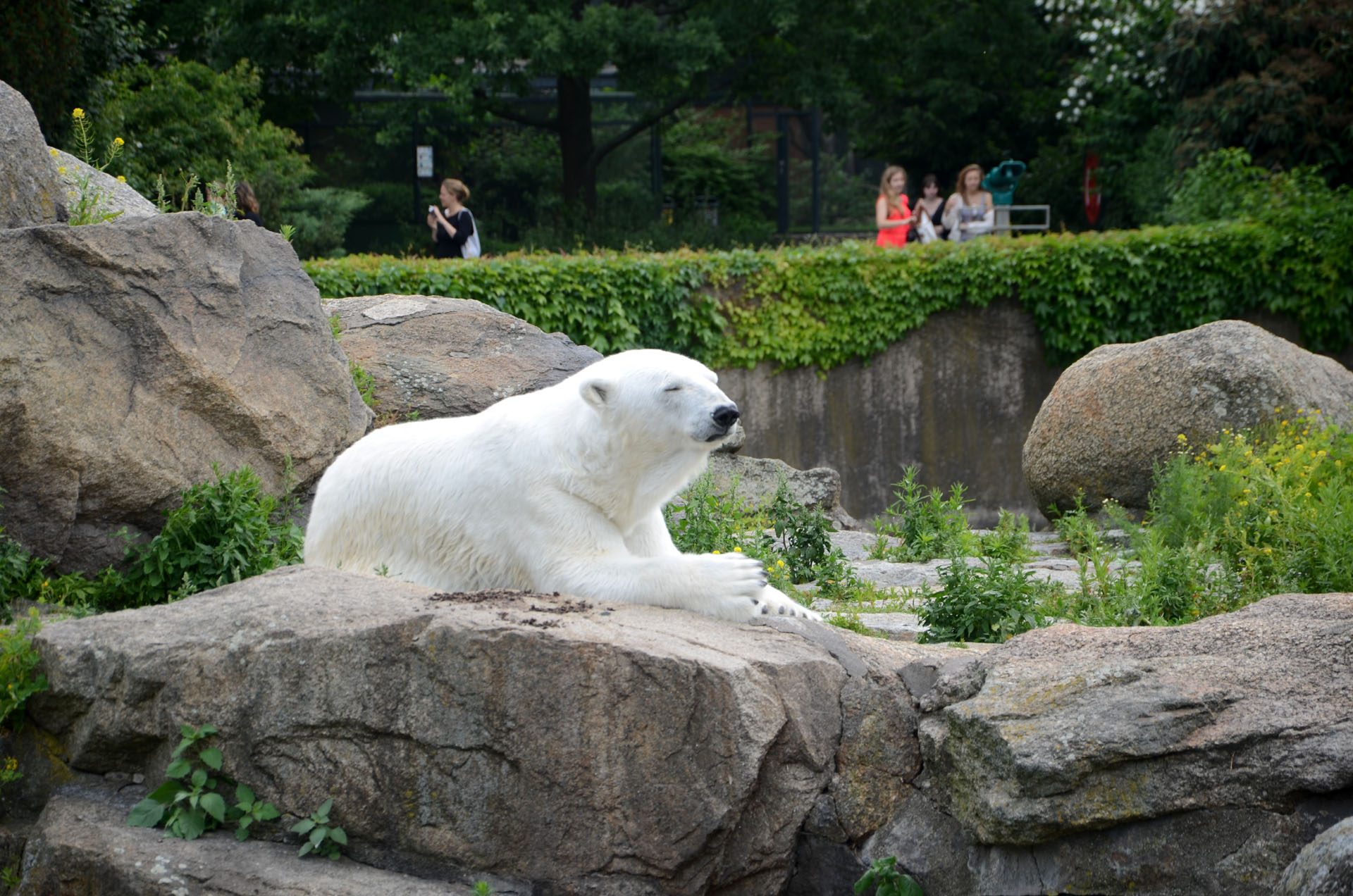 Zoologischer Garten Berlin
