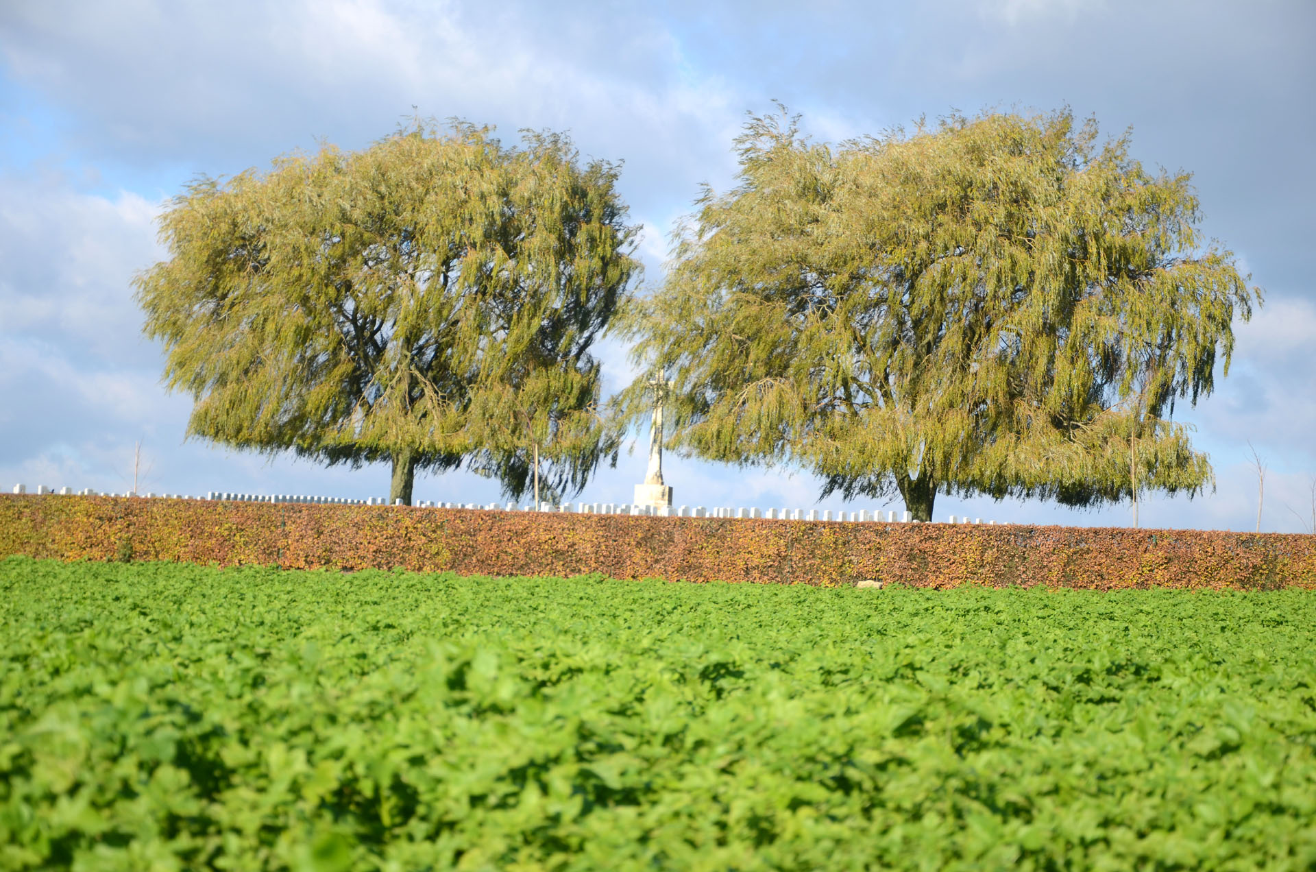 Prowse Point Military Cemetery