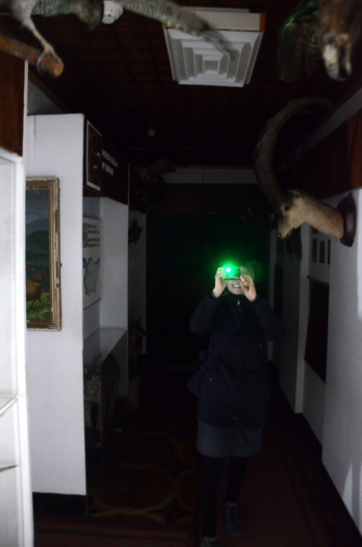 Borjomi Local History Museum