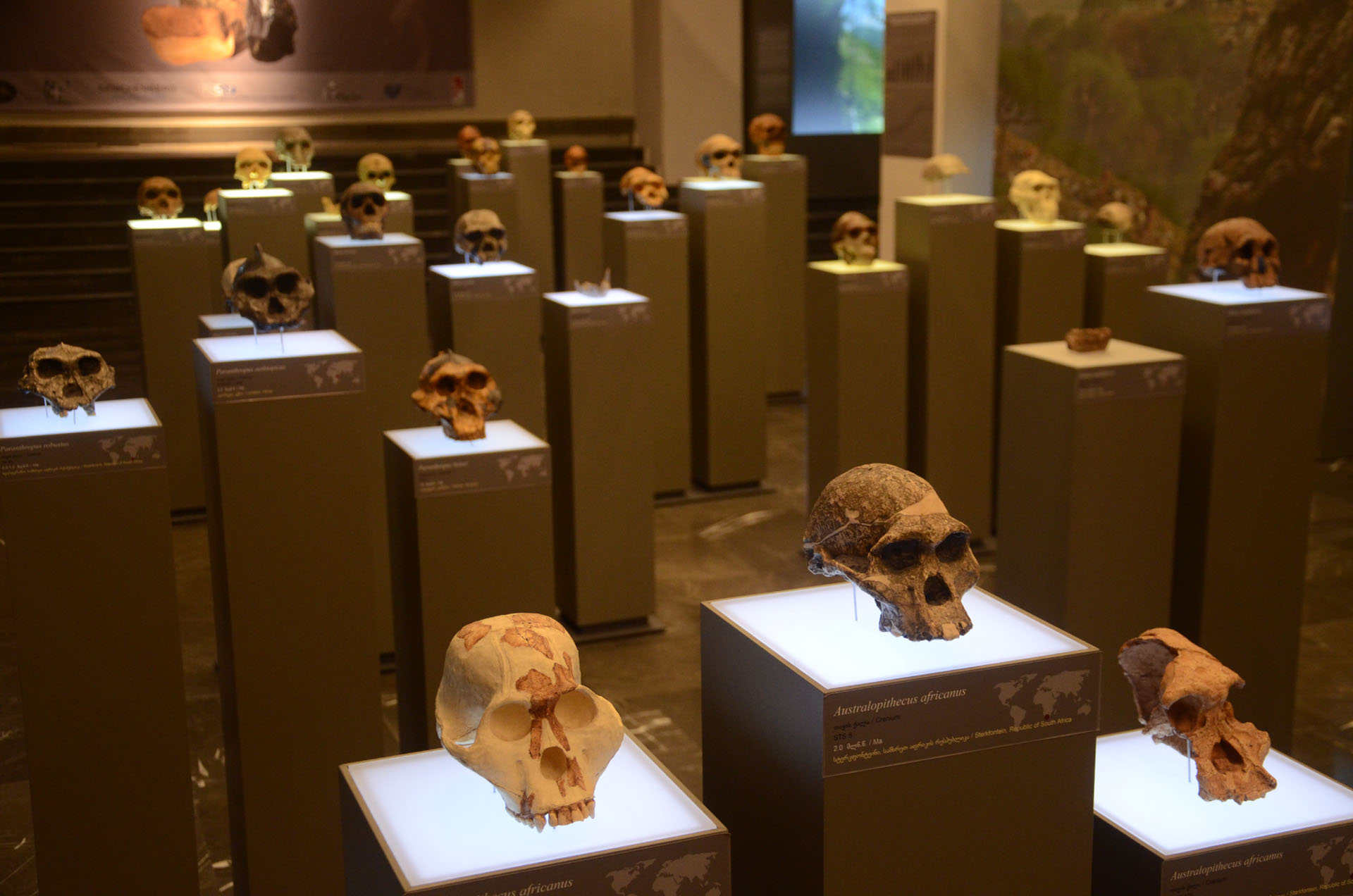 Georgian National Museum