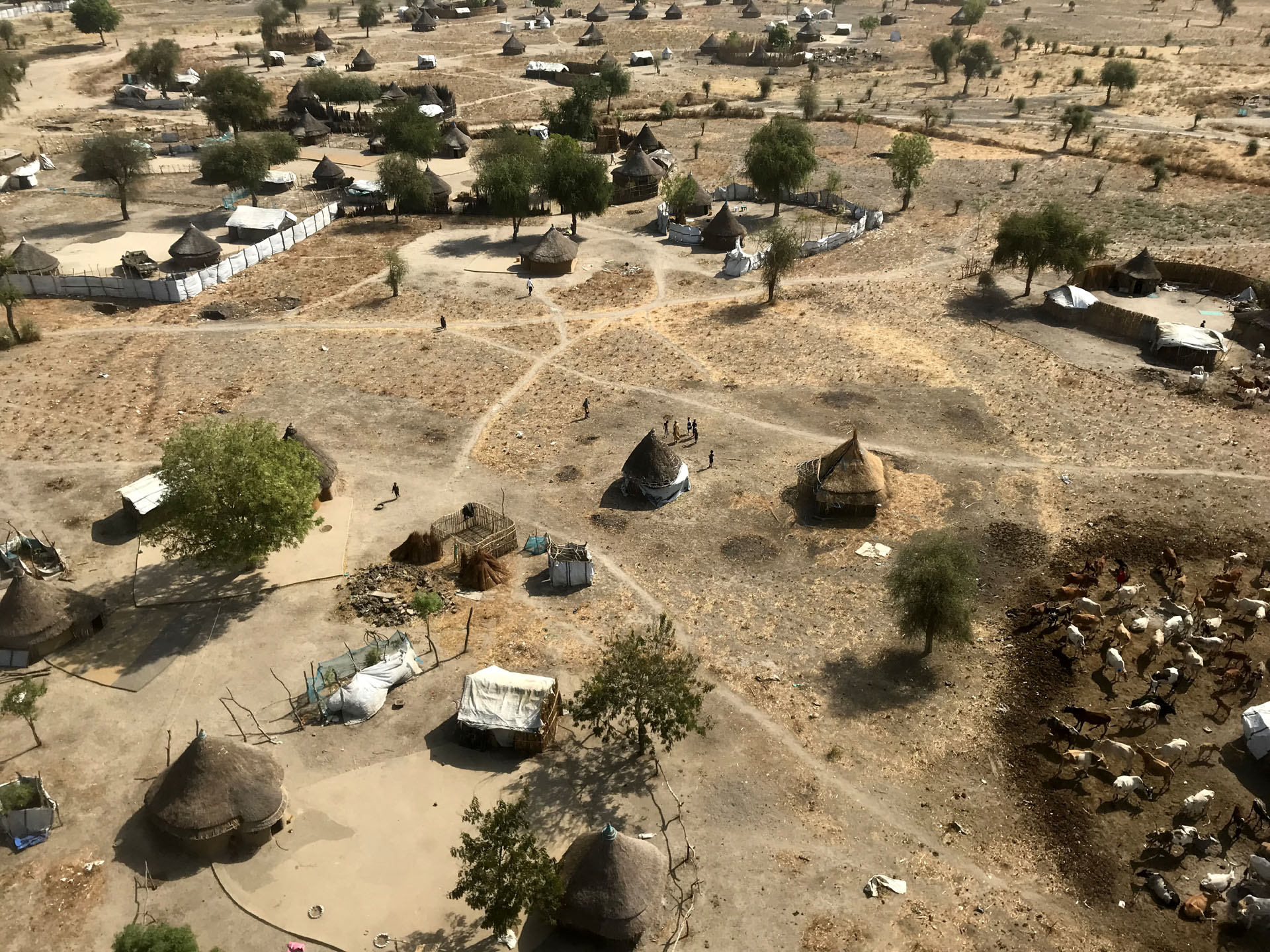 Juba - Lankien flight