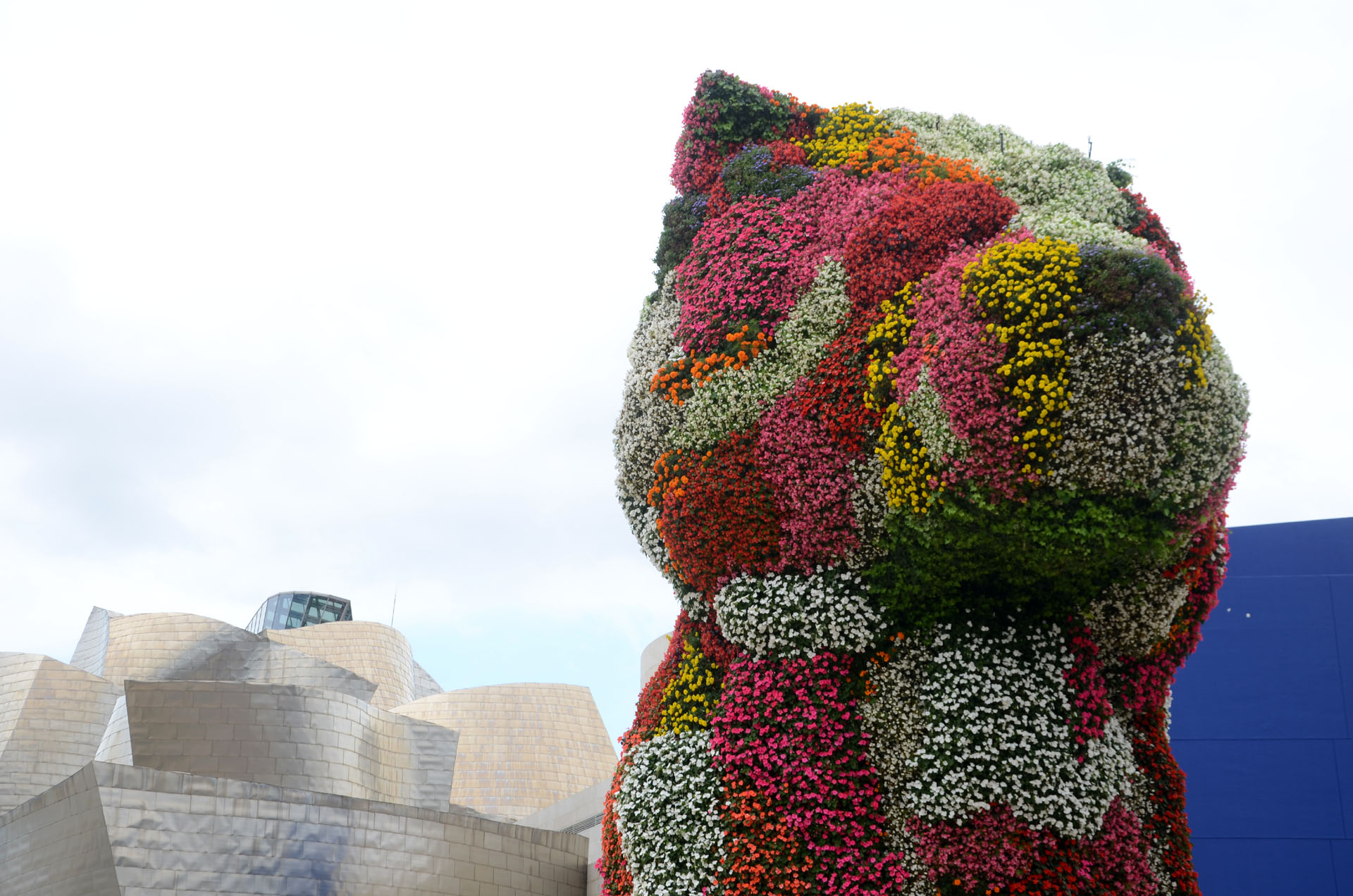 Guggenheim Museum Bilbao