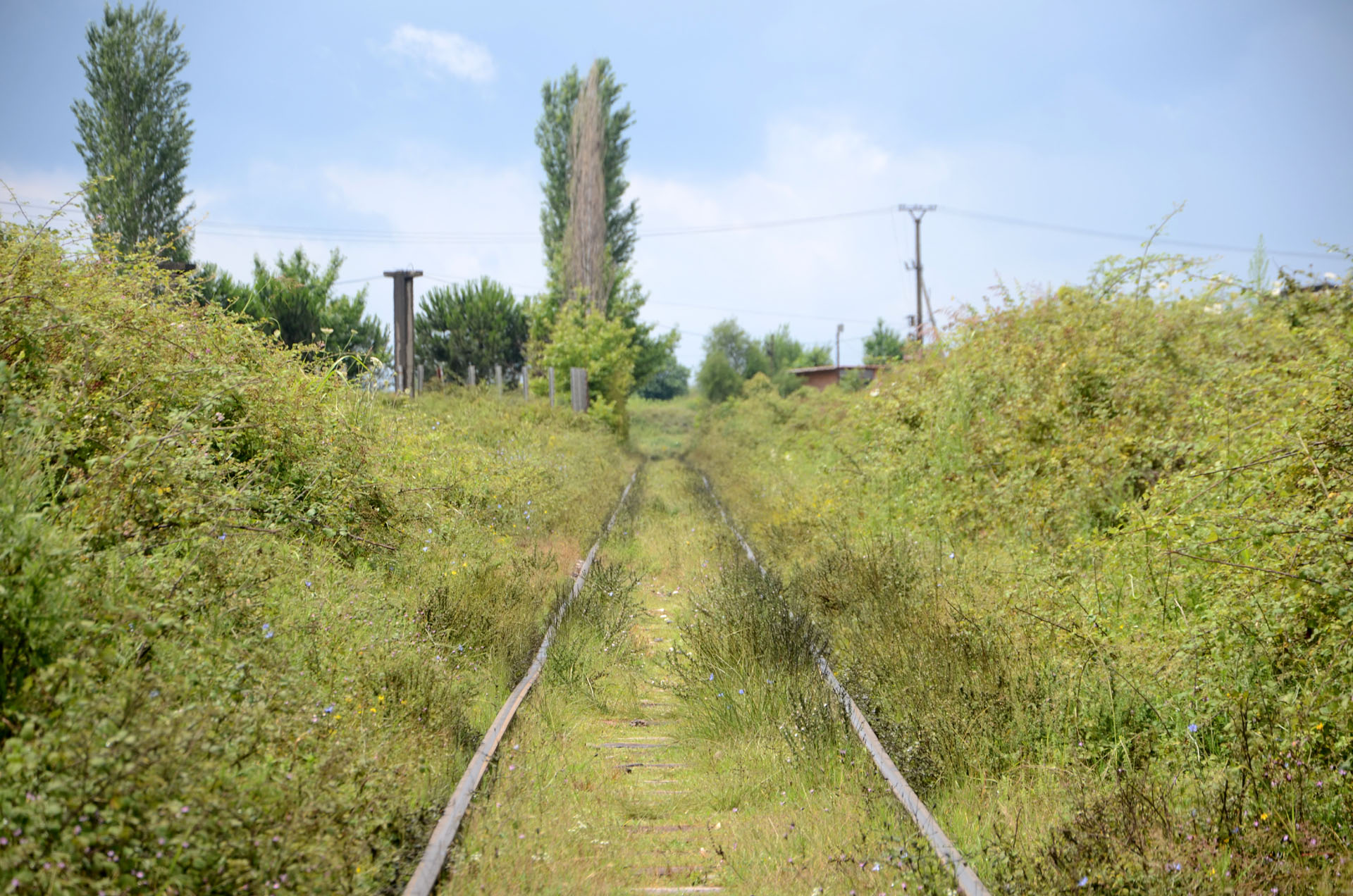 Kombinati Metalurgjik