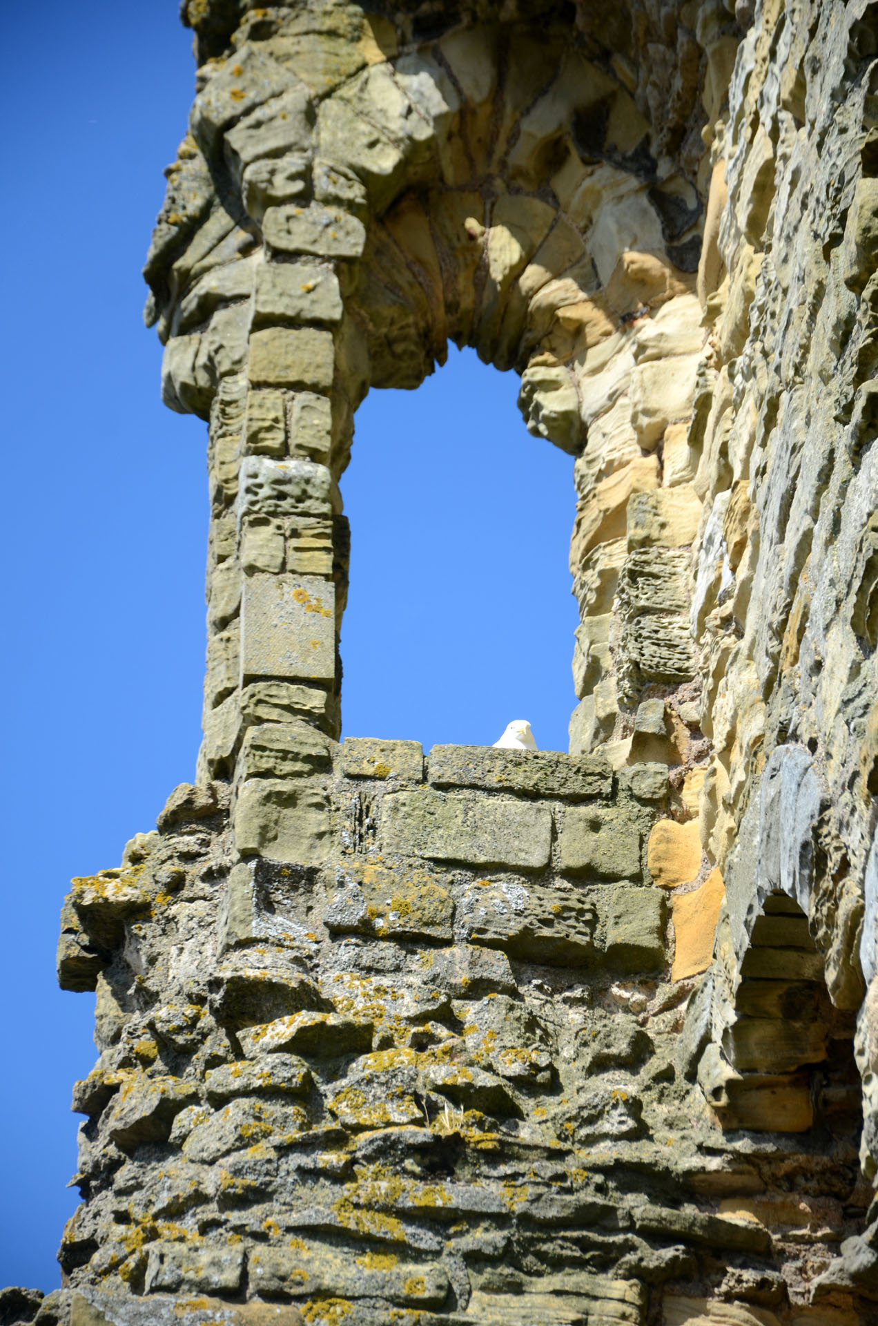 Scarborough Castle