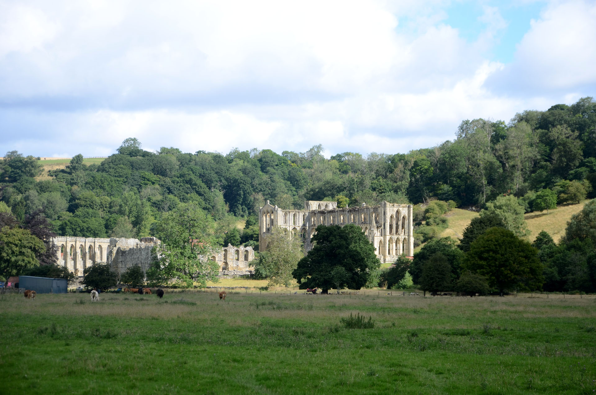 Rievaulx Abbey