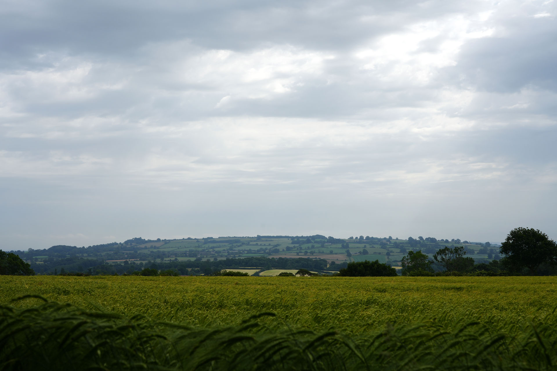 DSC01388