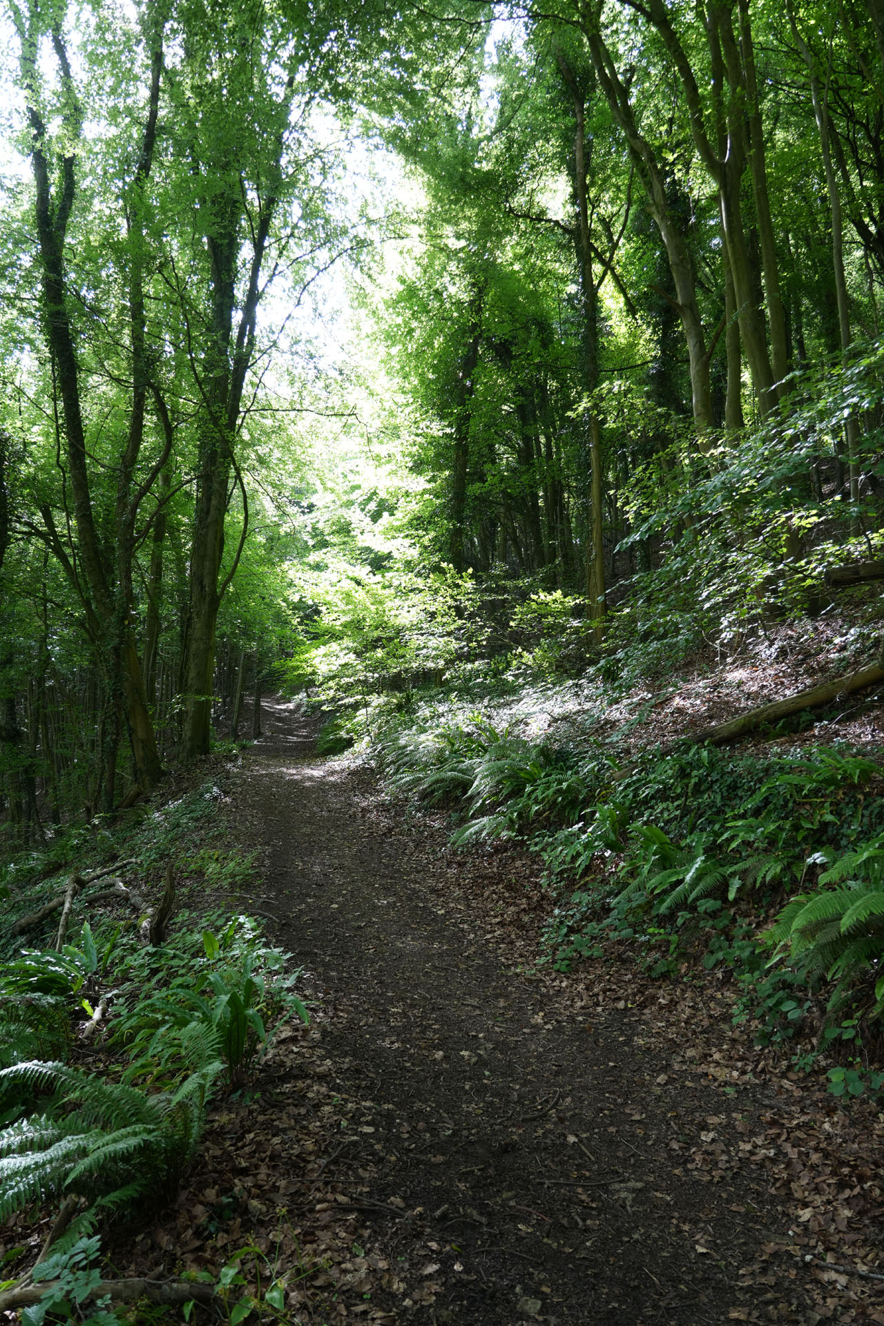 DSC01546