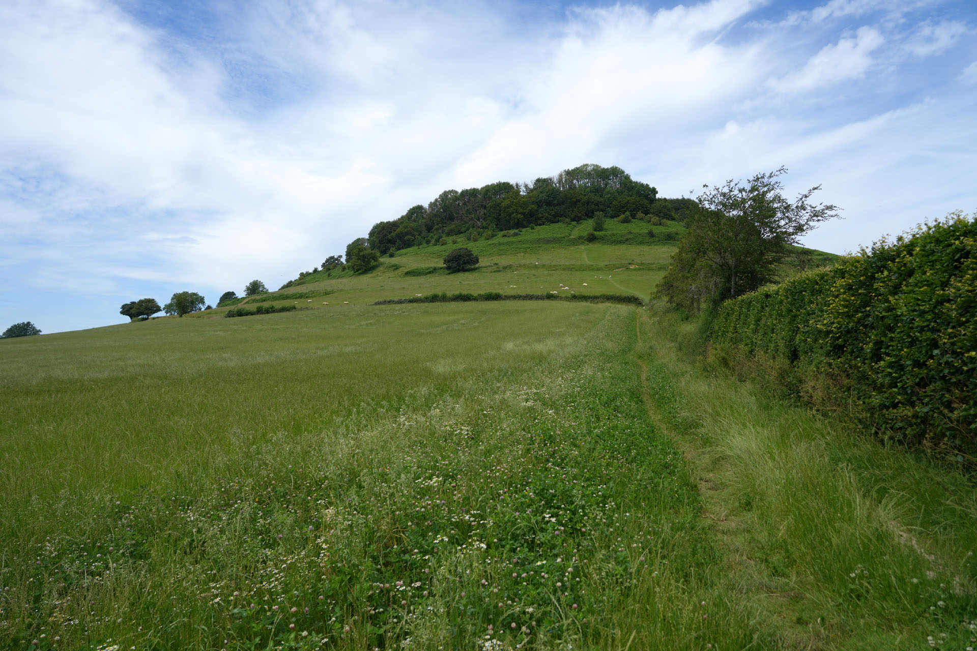 DSC01557